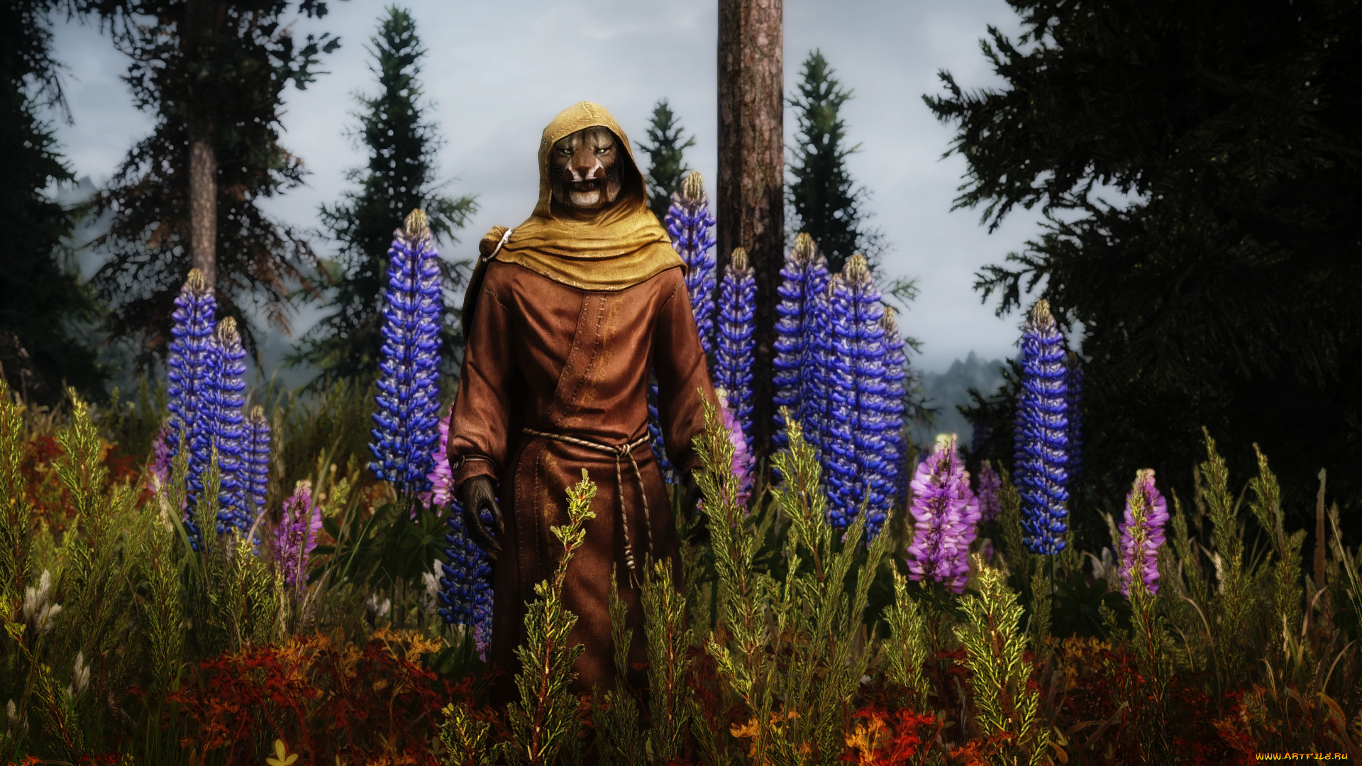  , the elder scrolls v,  skyrim, 